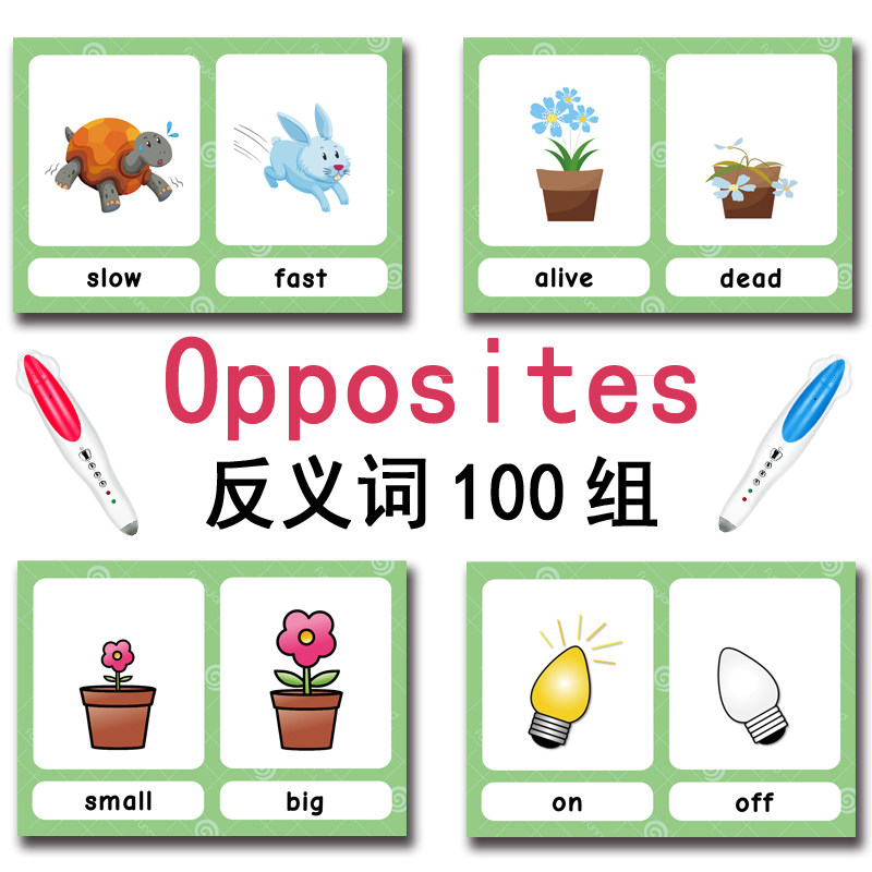 100 cartes mémoire sur les gro - Free Educational Games For Kids avis et prix