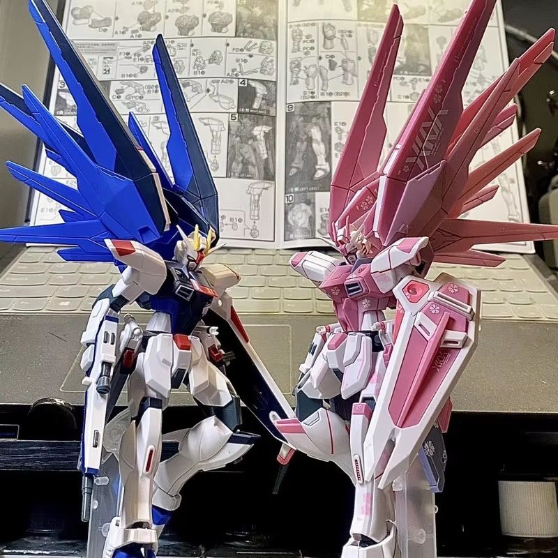 JMS HG 1/144 ZY-06 Freedom Ass - Bandai Model Gundam Hg avis et prix